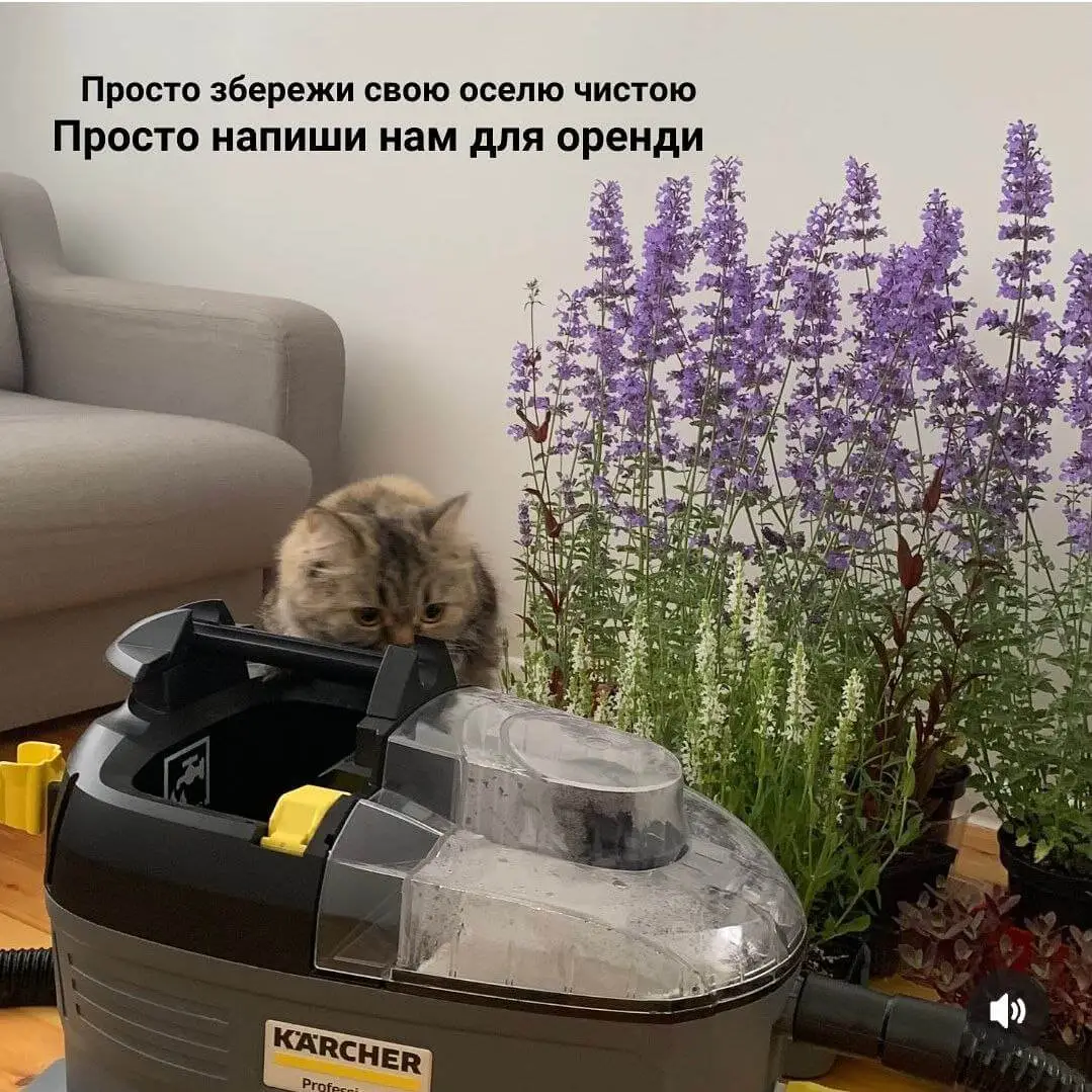 Миючий пилосос KARCHER у роботі
